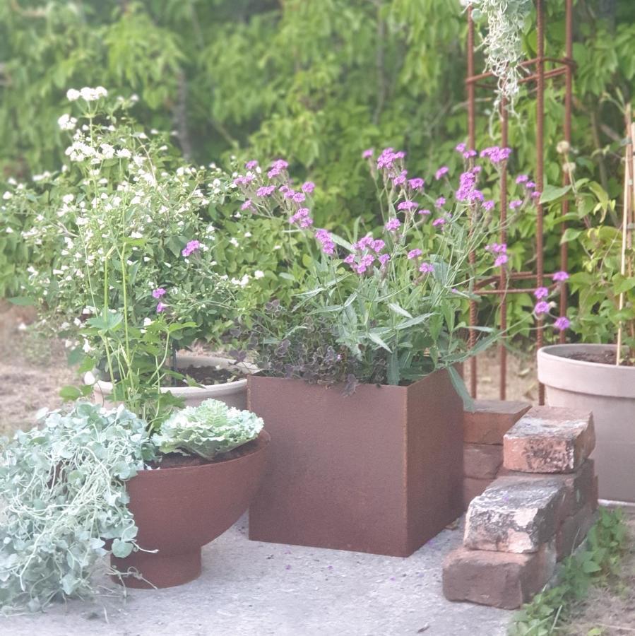 Ronehamn Bed And Breakfast Hemse Exterior foto